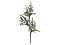 Ветка еловая Berry Branch 649847